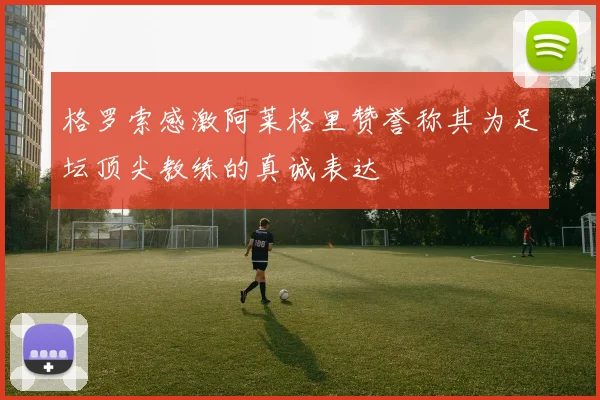 格罗索感激阿莱格里赞誉称其为足坛顶尖教练的真诚表达